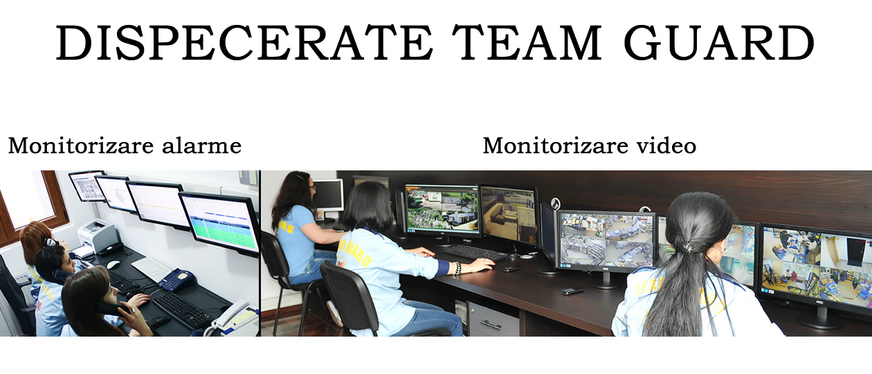 Dispecerate - Team Guard