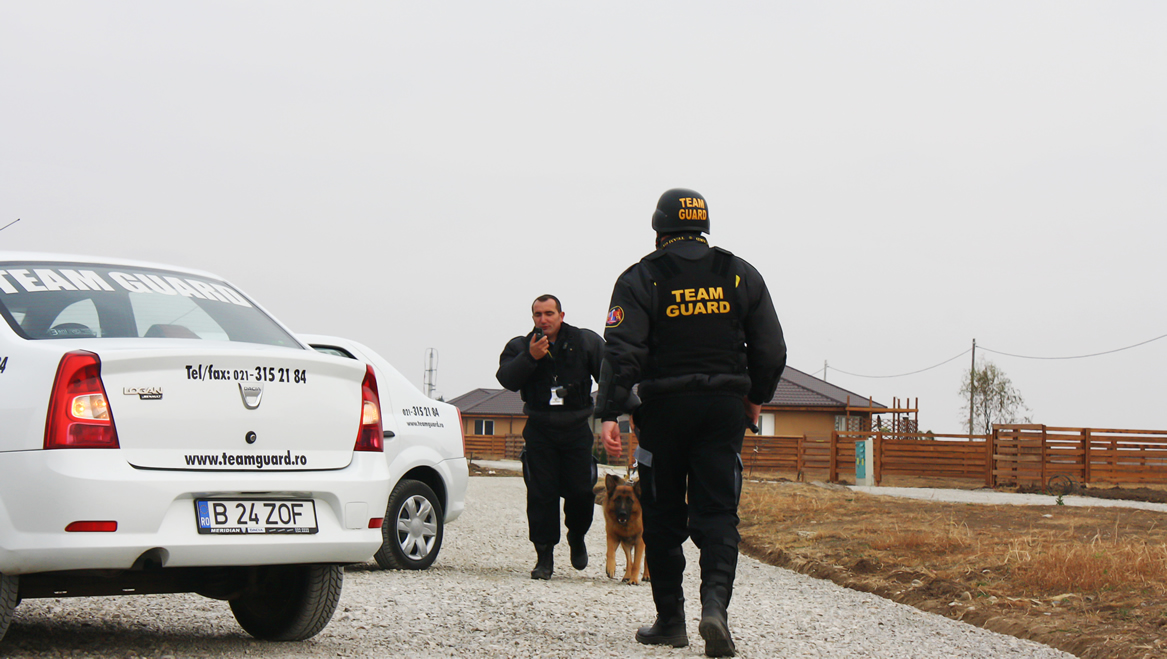 Interventie cu caini specializati